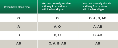 Blood Type Compatibility Chart 