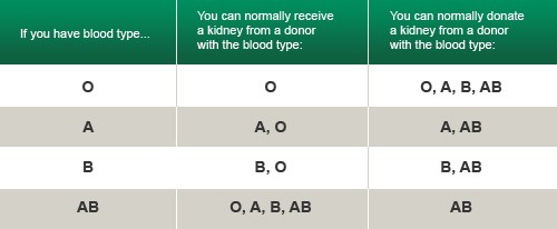 Blood Type Compatibility Chart