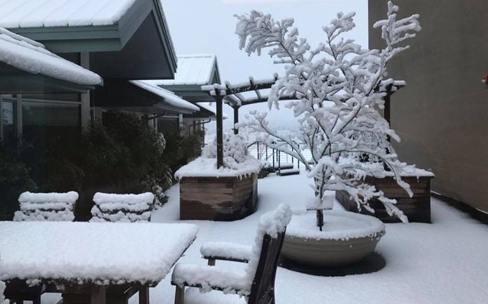 rehab-trail-snow 