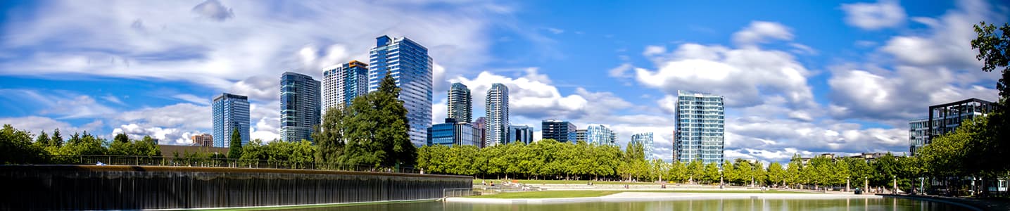 Bellevue: Neurosciences and Spine Symposium